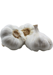 knoblauch_frisch